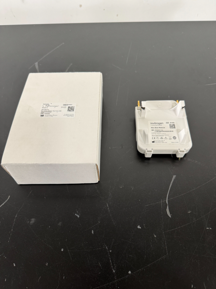 Image of Invitrogen Mini Blot Modules - Quantity 2
